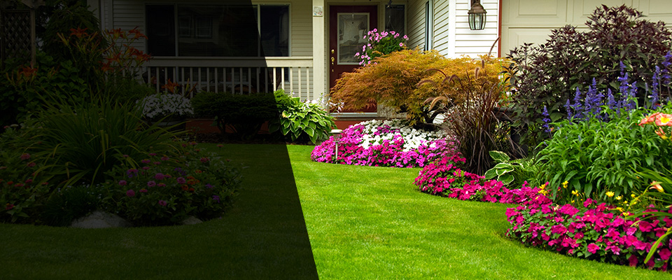 Rosenberg Landscapers