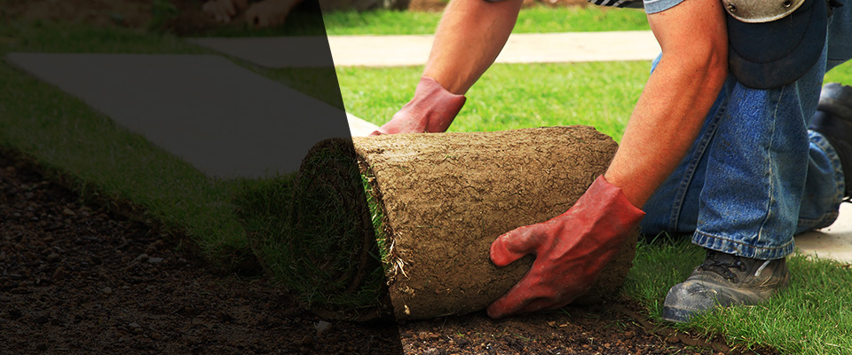 Rosenberg Landscapers